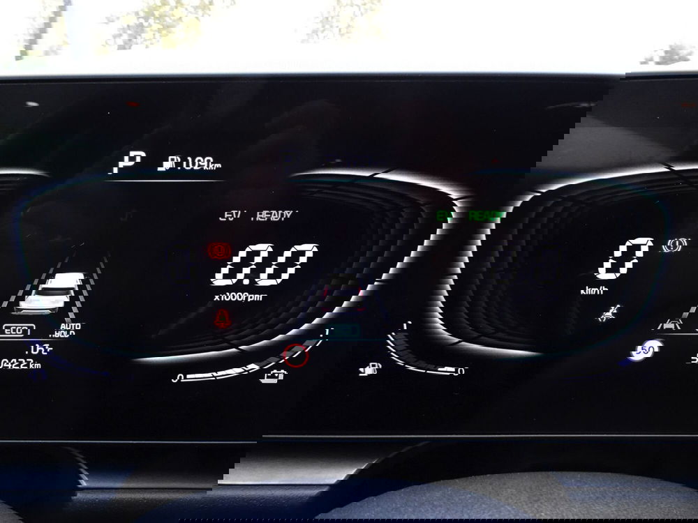 Kia Niro usata a Treviso (16)