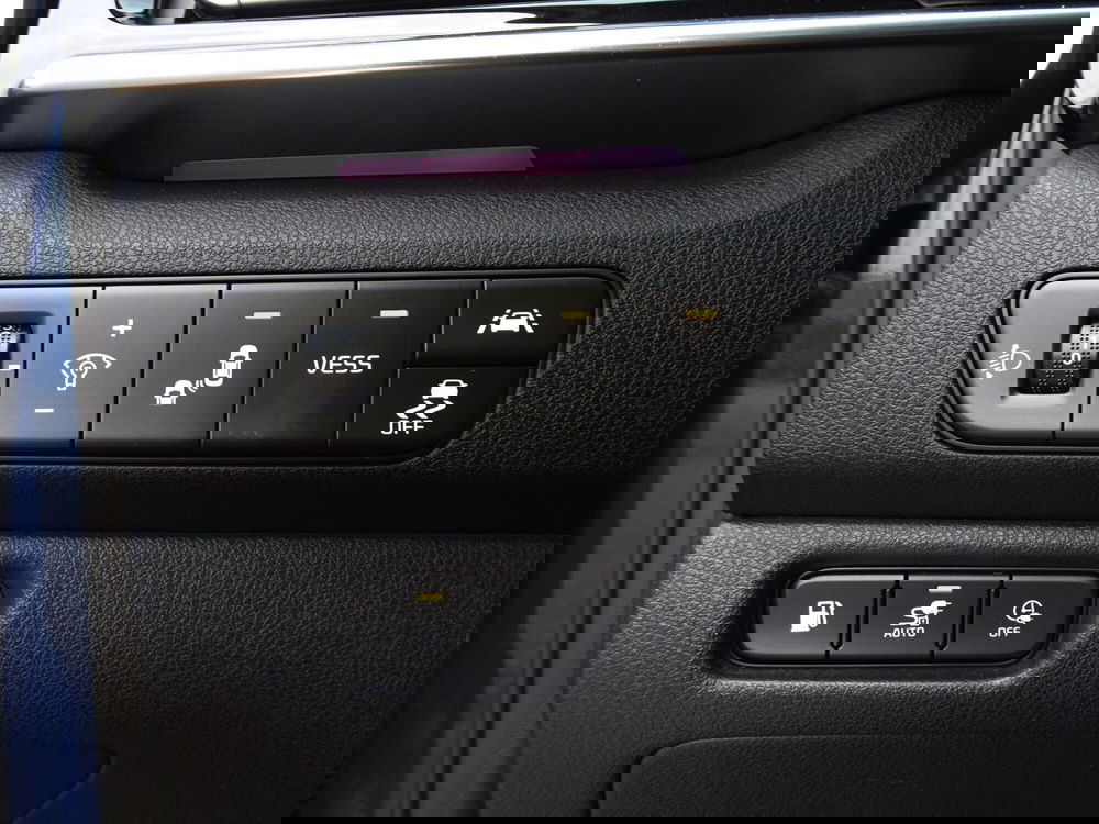 Kia Niro usata a Treviso (18)