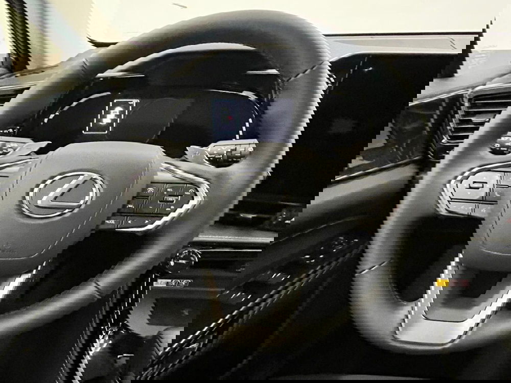 Lexus NX usata a Cremona (17)