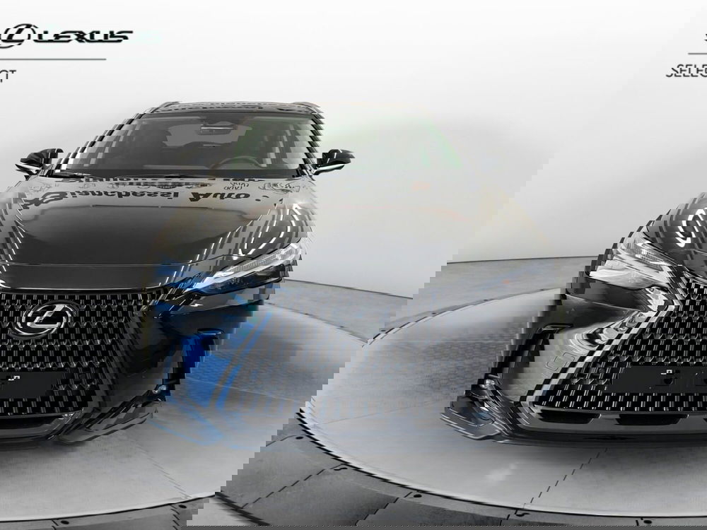 Lexus NX usata a Cremona (5)