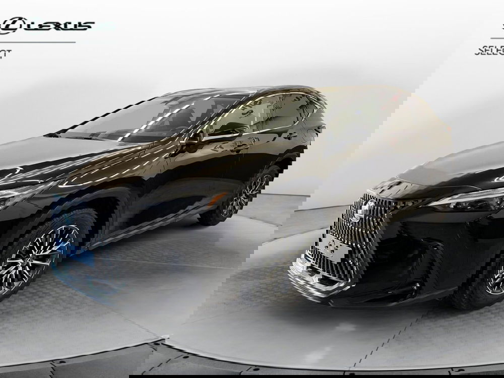 Lexus NX usata a Cremona (6)