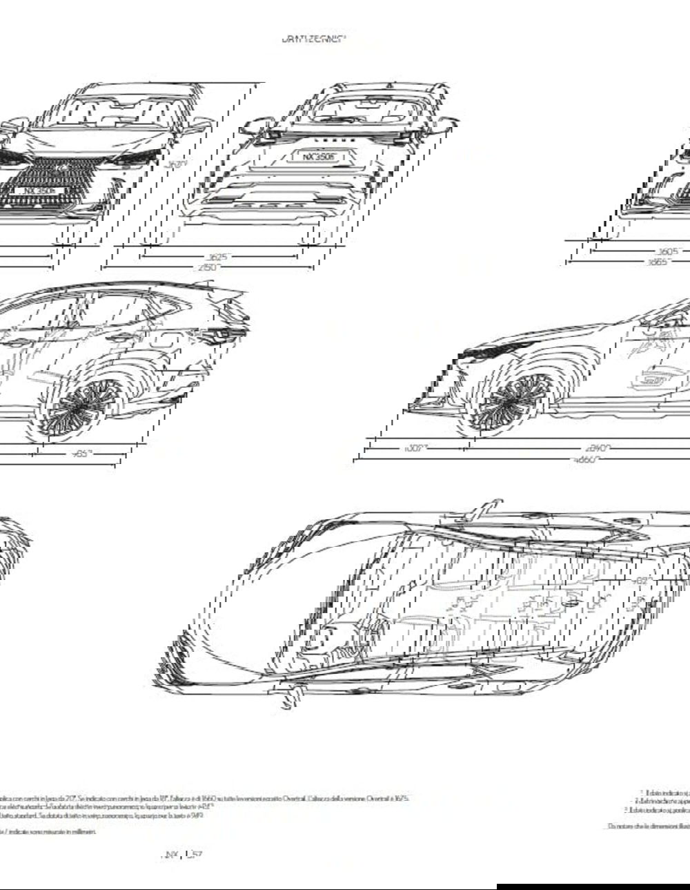 Lexus NX usata a Cremona (18)