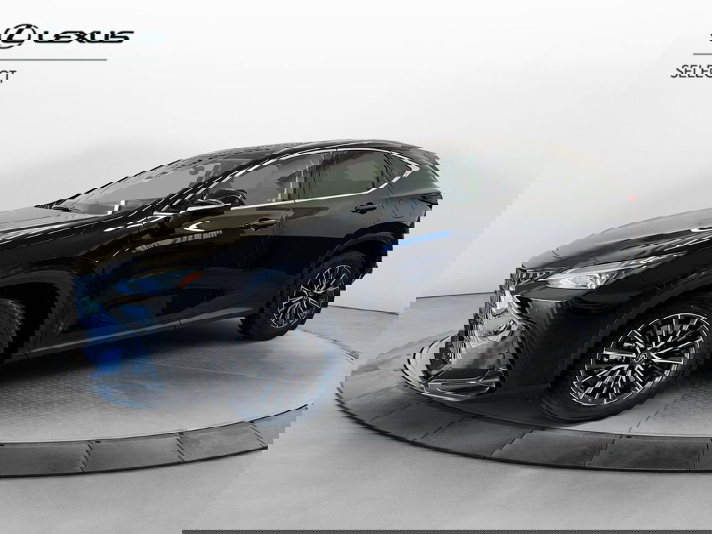 Lexus NX usata a Cremona (2)