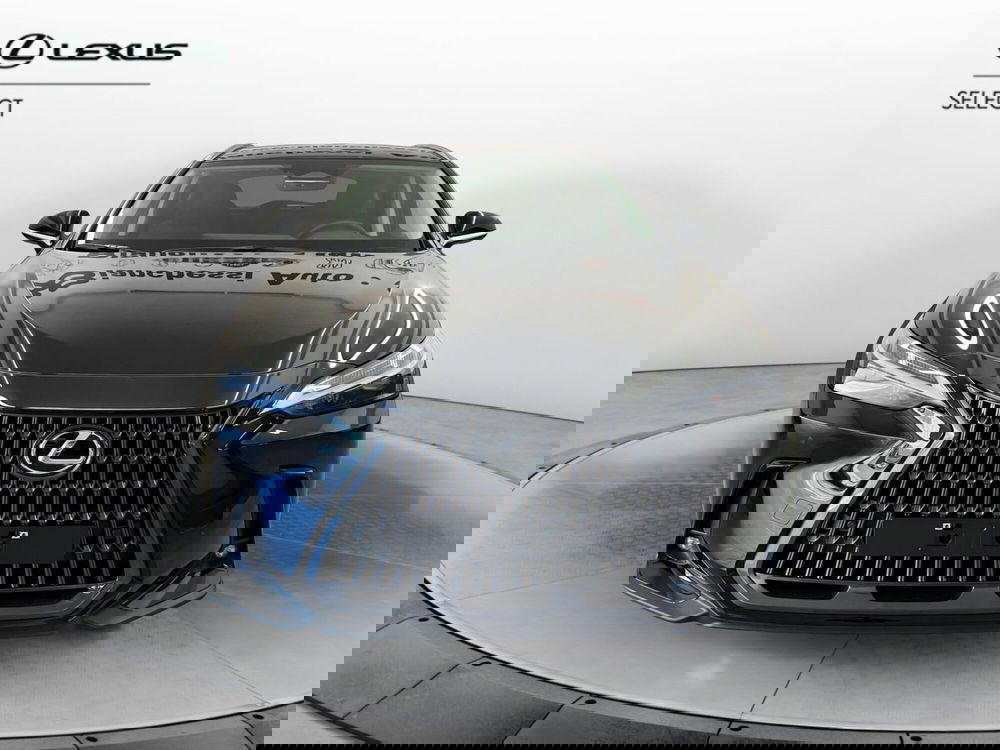 Lexus NX usata a Cremona (4)