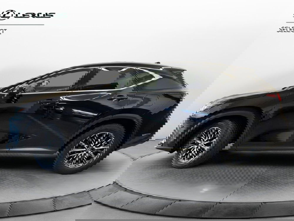 Lexus NX usata a Cremona (5)