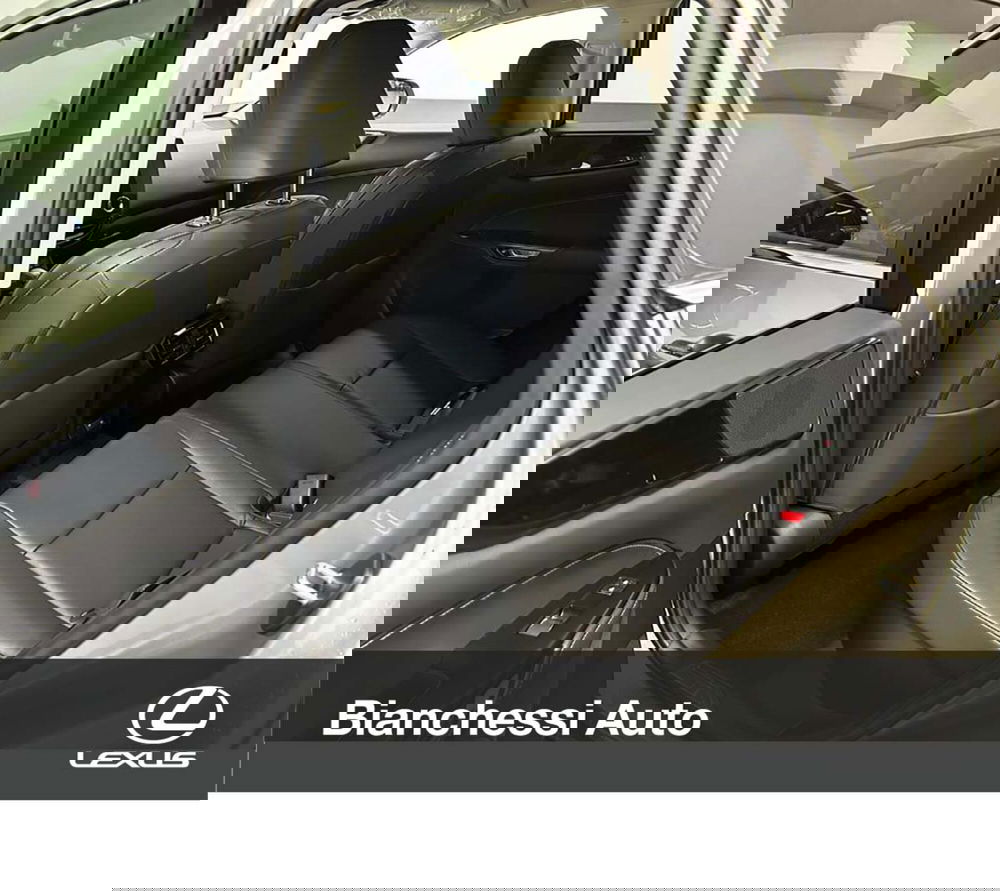 Lexus NX usata a Cremona (12)