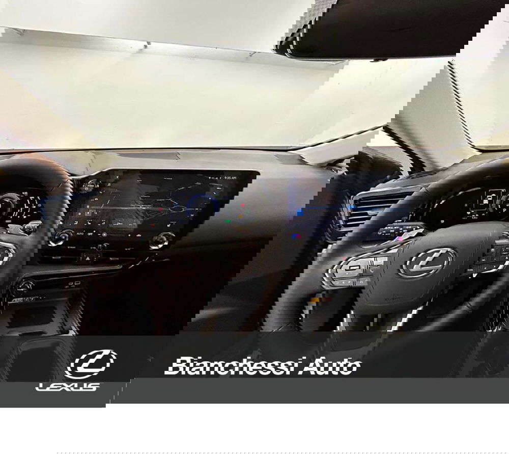 Lexus NX usata a Cremona (13)