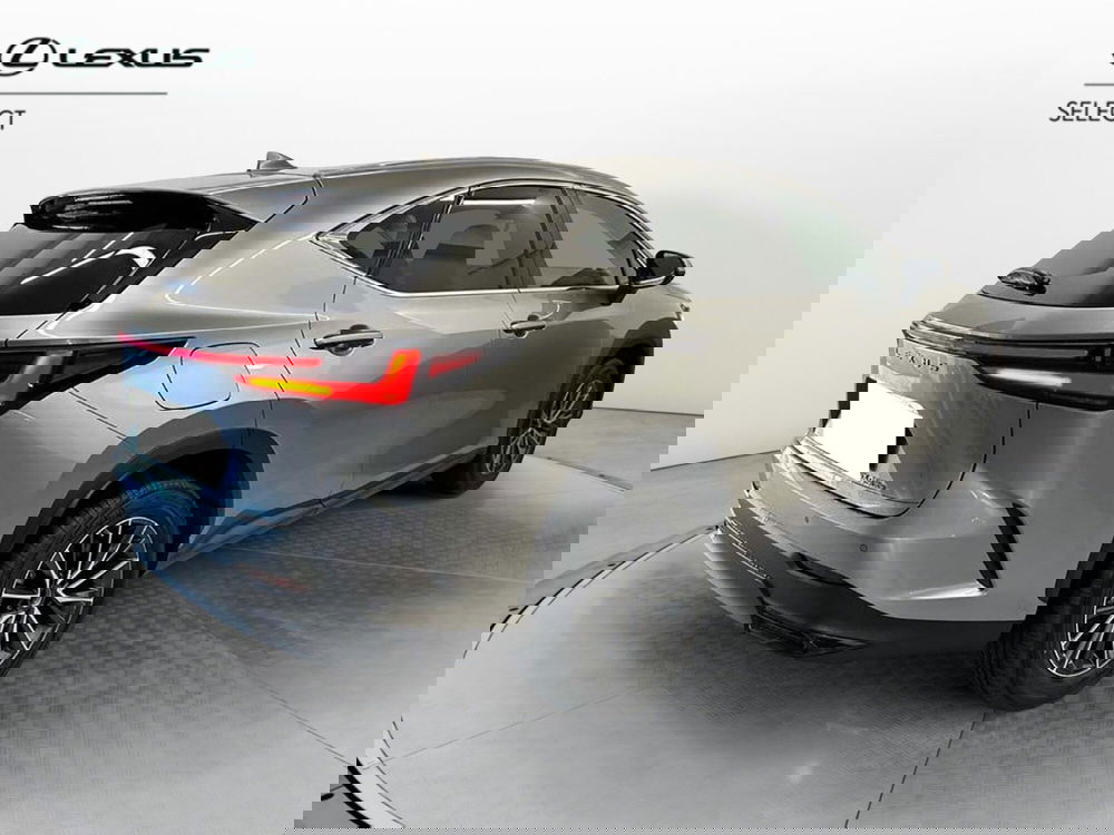 Lexus NX usata a Cremona (5)