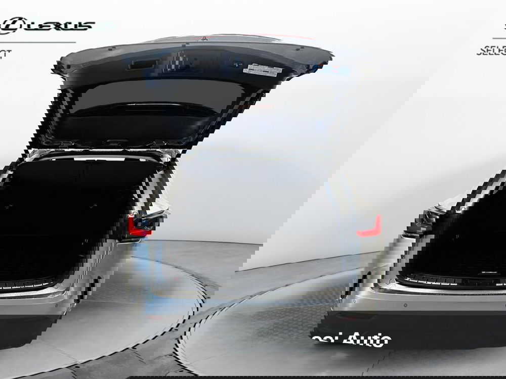 Lexus NX usata a Cremona (8)