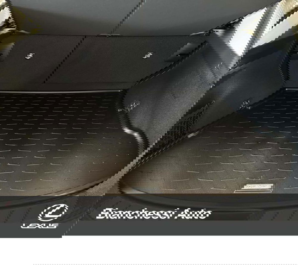 Lexus NX usata a Cremona (9)