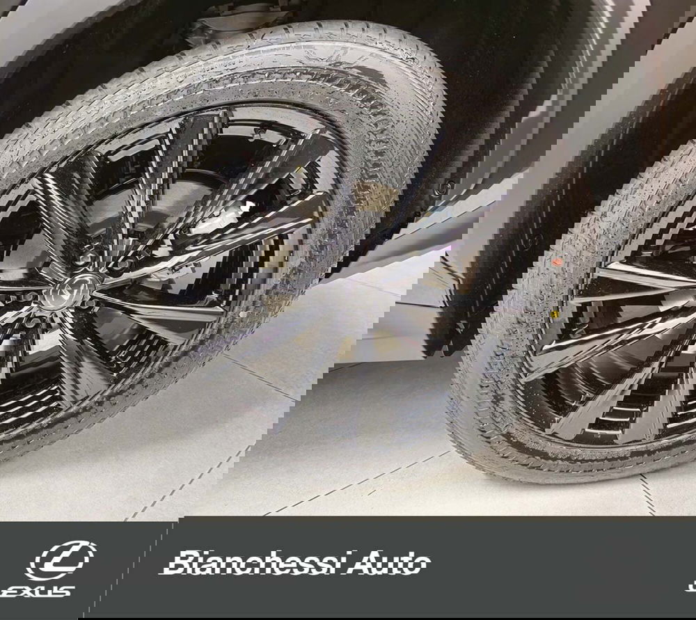 Lexus NX usata a Cremona (10)