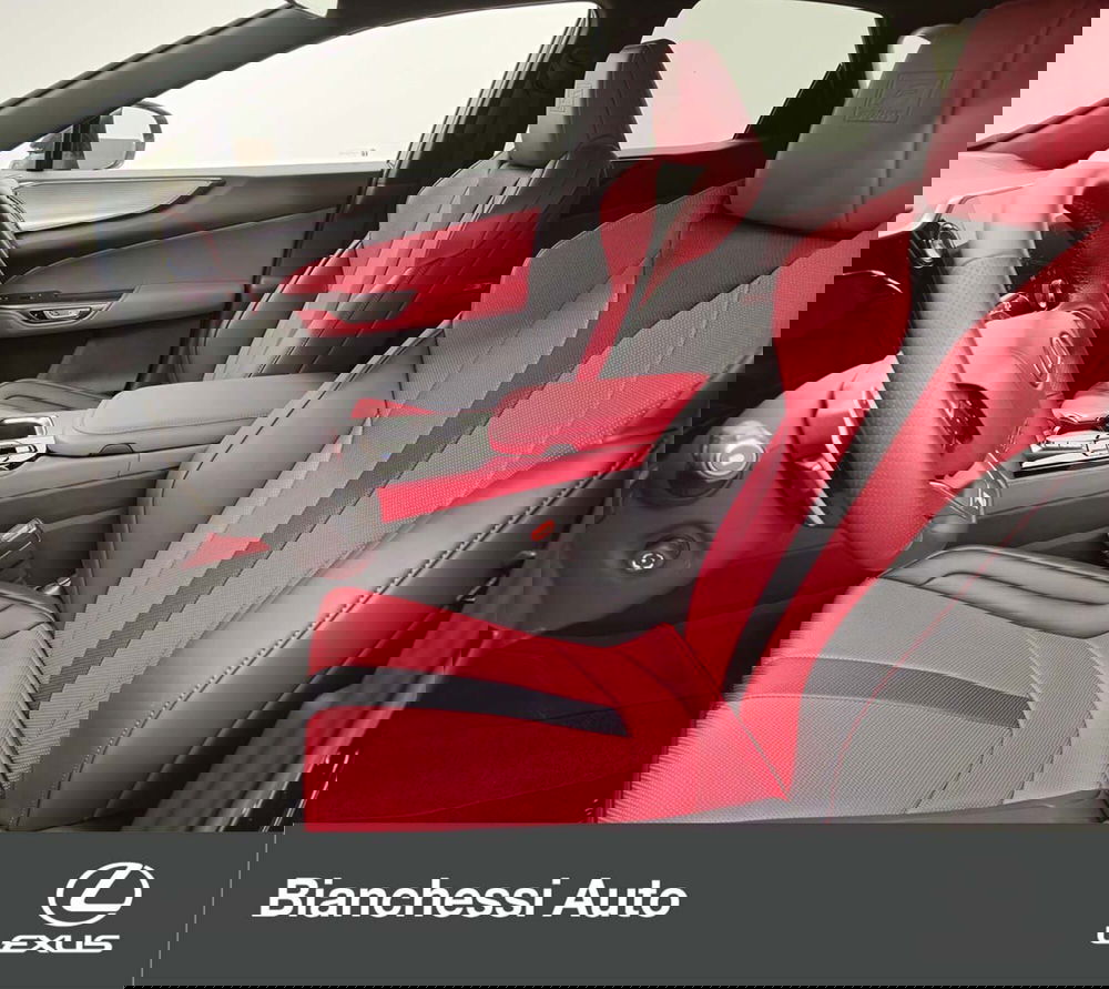 Lexus NX usata a Cremona (13)