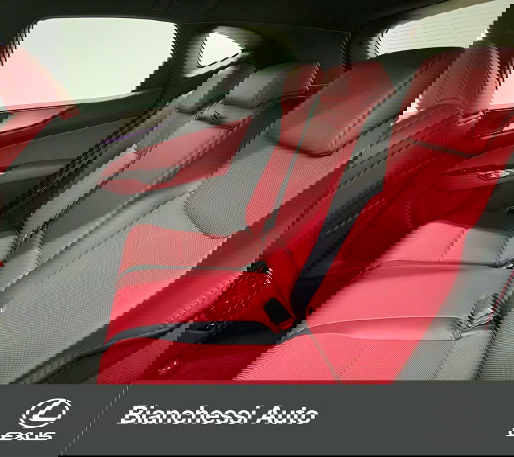 Lexus NX usata a Cremona (14)