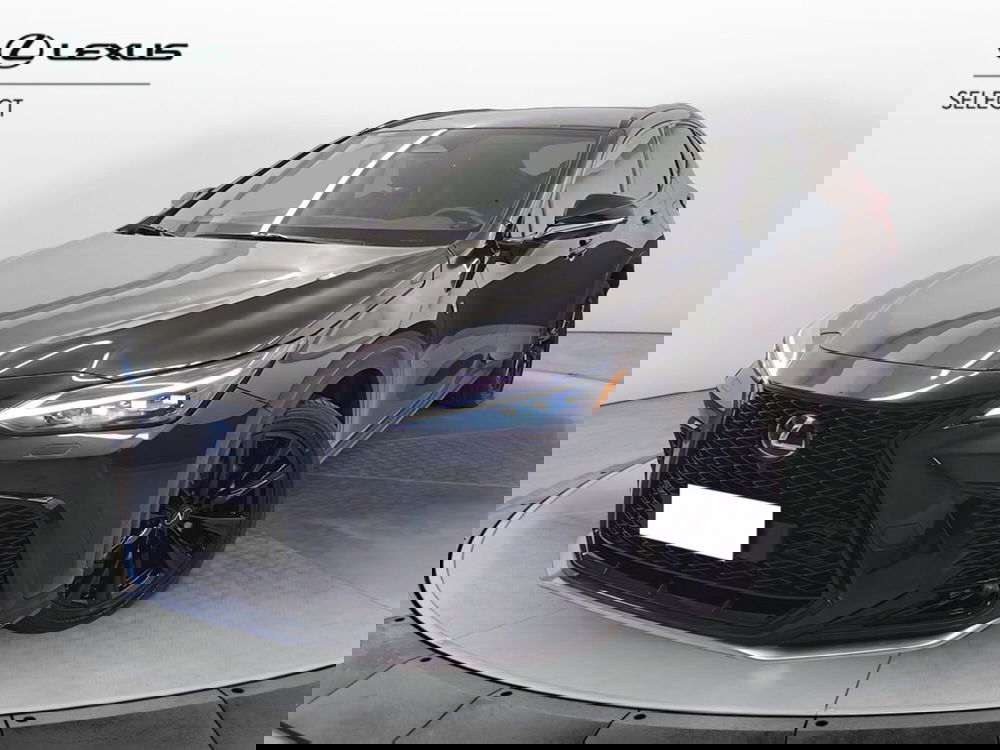 Lexus NX usata a Cremona (2)