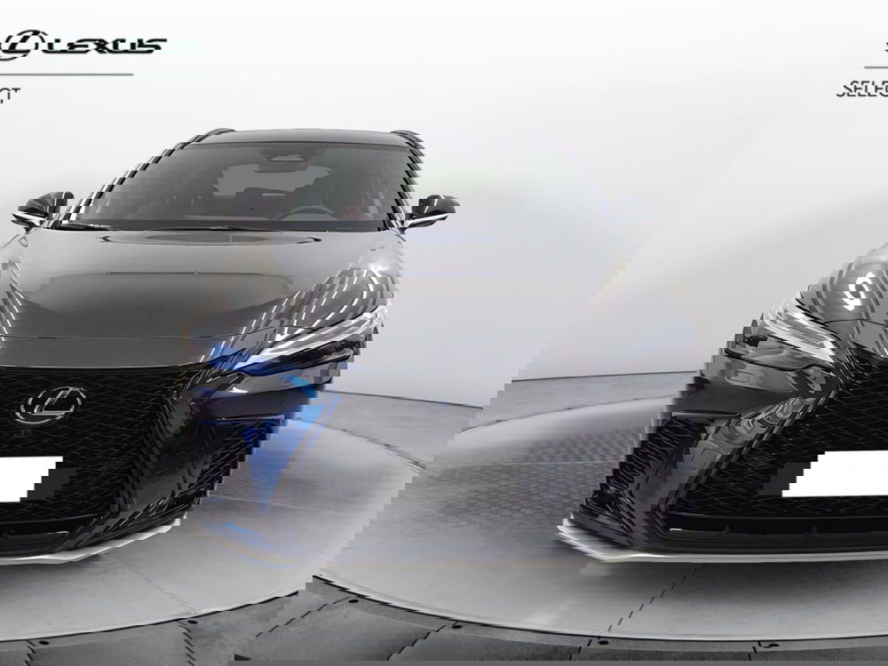 Lexus NX usata a Cremona (4)