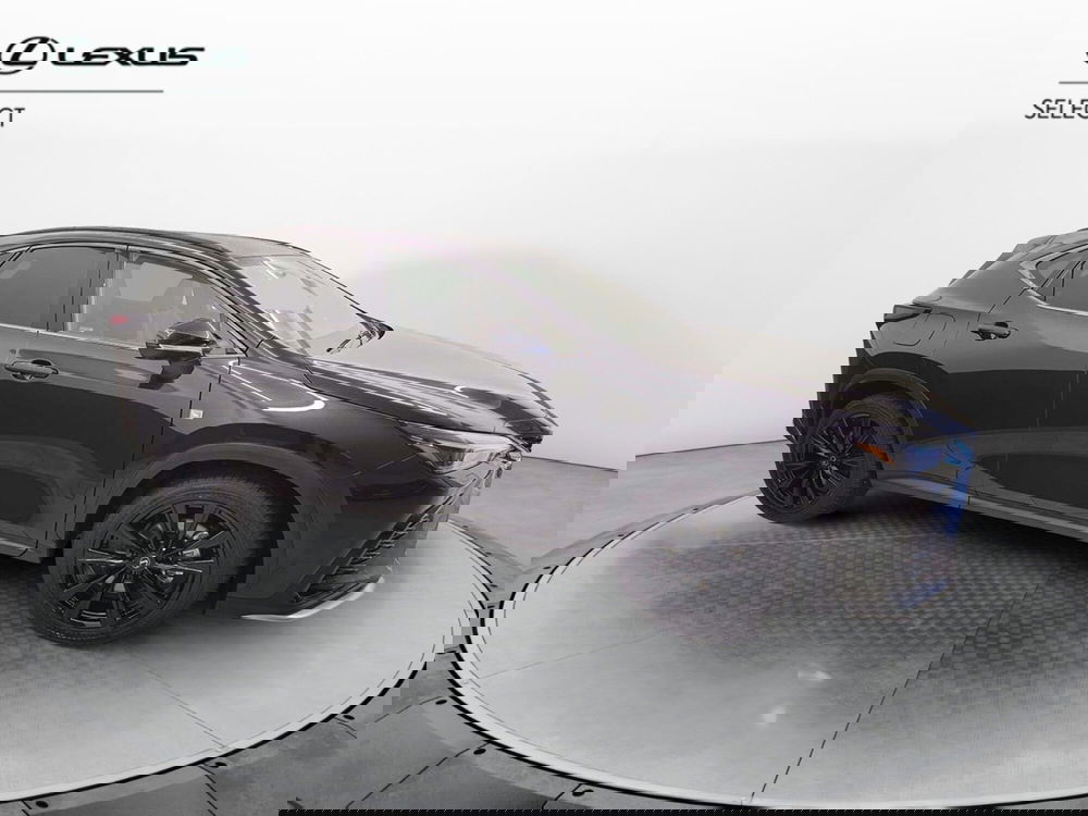 Lexus NX usata a Cremona (5)