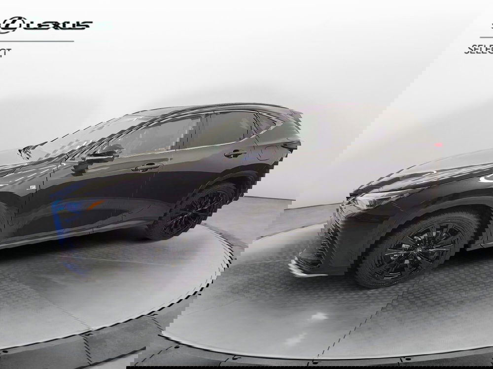 Lexus NX usata a Cremona (6)