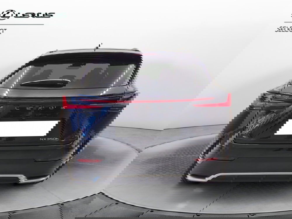 Lexus NX usata a Cremona (7)