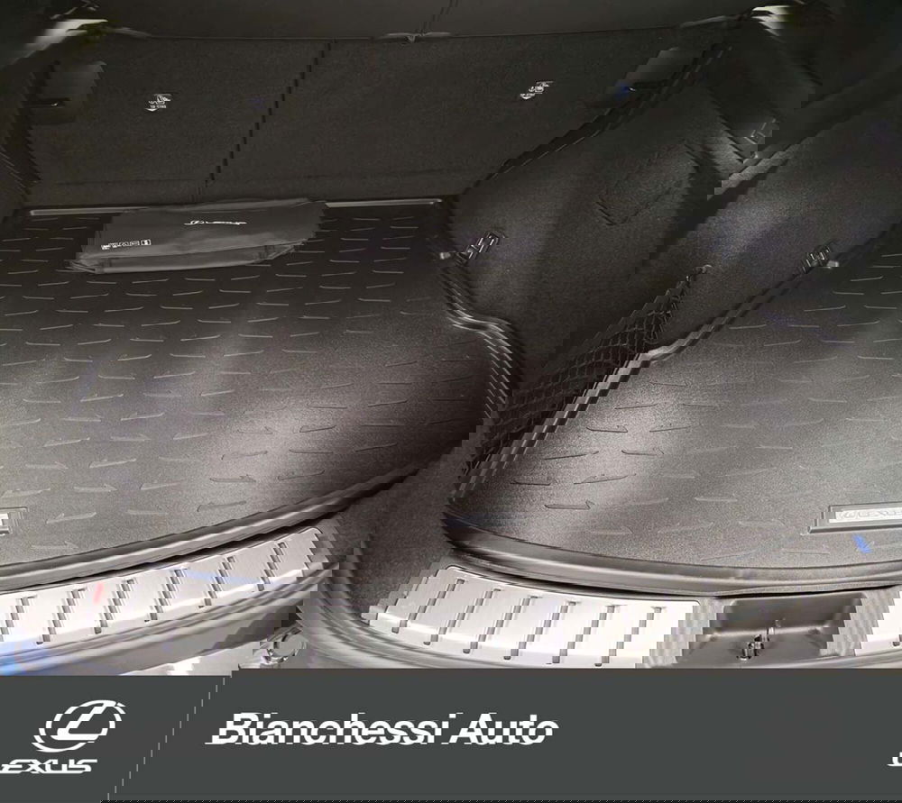 Lexus NX usata a Cremona (9)