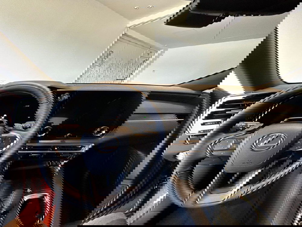 Lexus RX usata a Cremona (11)