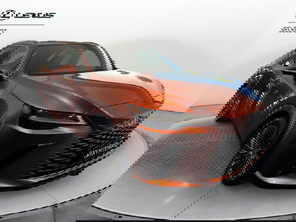 Lexus RX usata a Cremona (2)