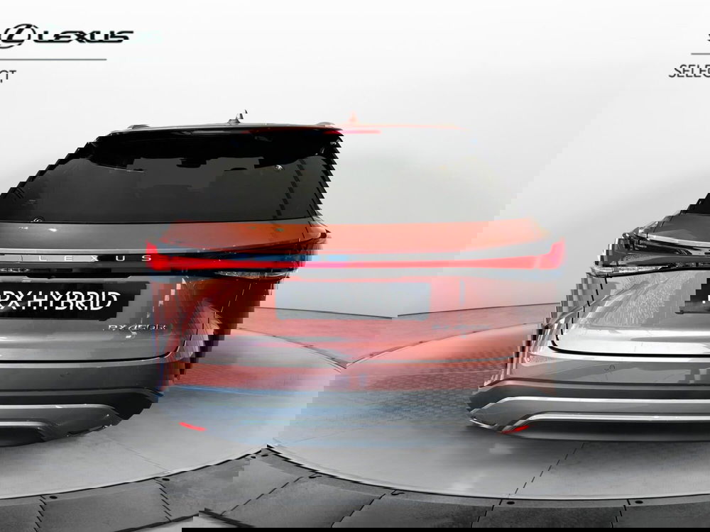 Lexus RX usata a Cremona (5)