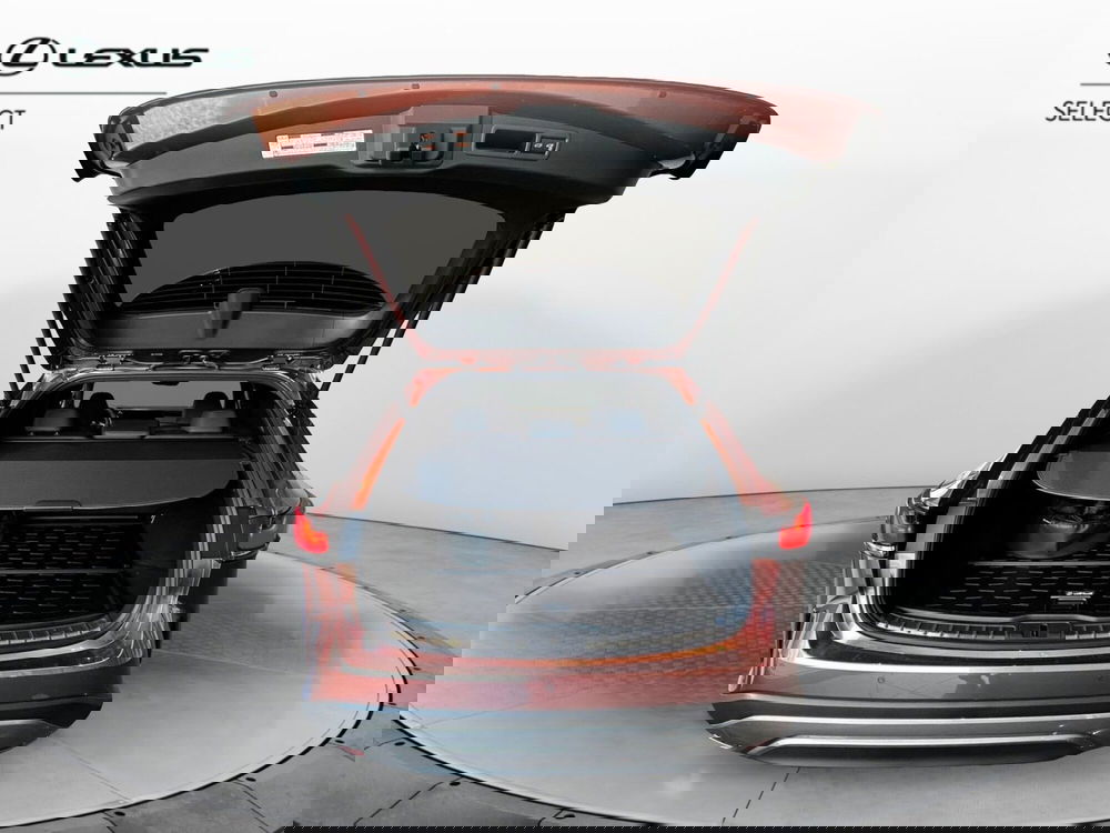 Lexus RX usata a Cremona (7)