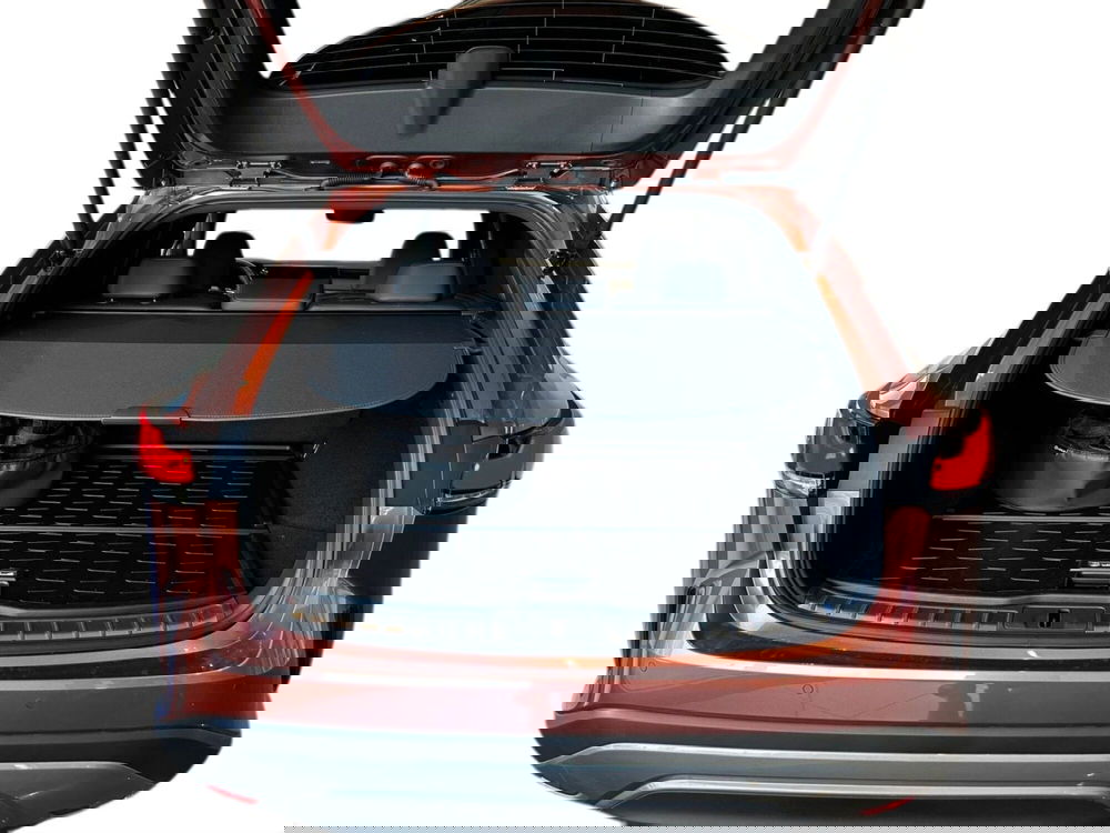 Lexus RX usata a Cremona (8)