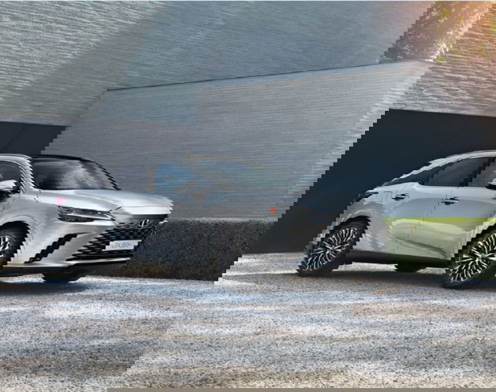 Lexus RX usata a Cremona (13)