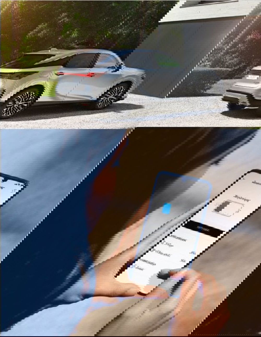 Lexus RX usata a Cremona (17)