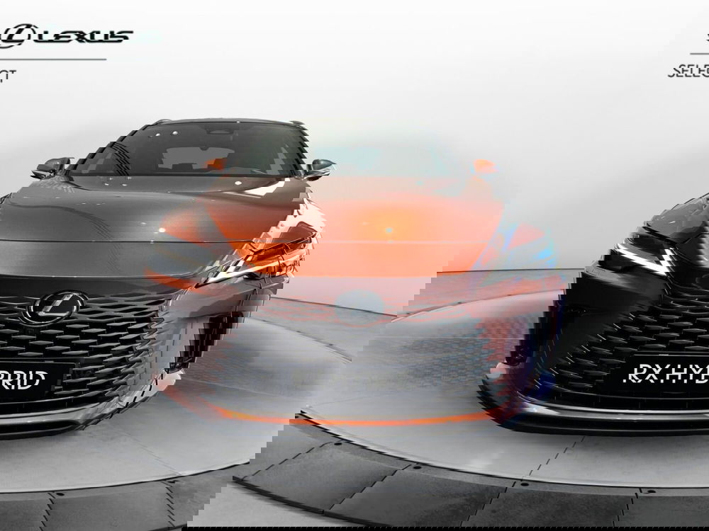 Lexus RX usata a Cremona (4)