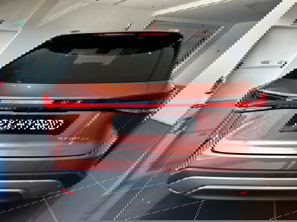 Lexus RX usata a Cremona (5)