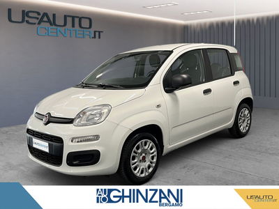 Fiat Panda 1.2 Lounge del 2019 usata a Bergamo