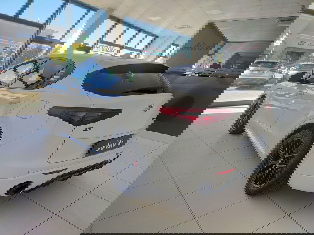 Alfa Romeo Stelvio usata a Reggio Emilia (6)