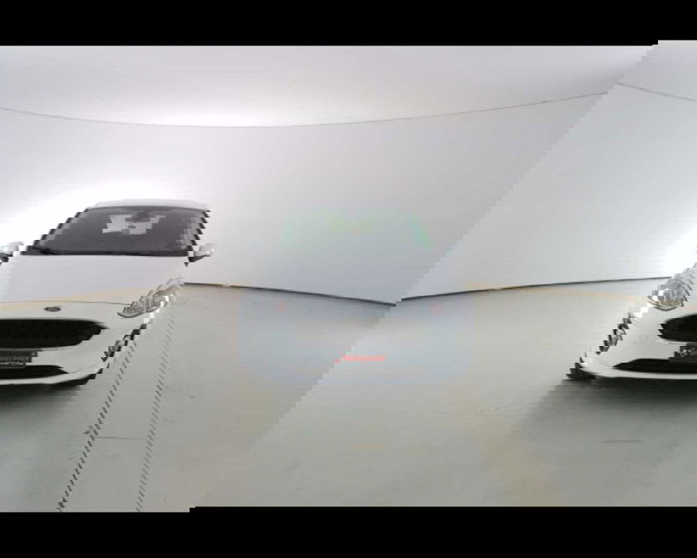 Ford Fiesta usata a Bologna (2)