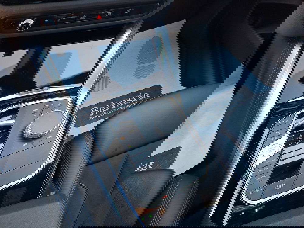BMW Serie 2 Coupé usata a Pescara (10)