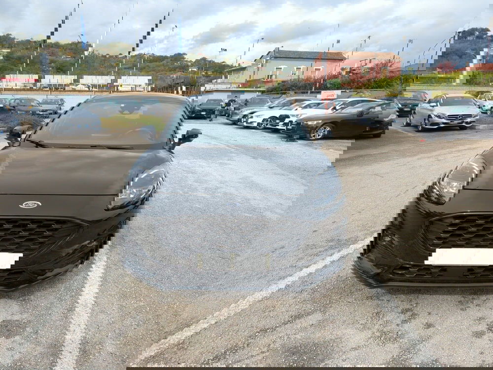 Ford Puma usata a Benevento (2)