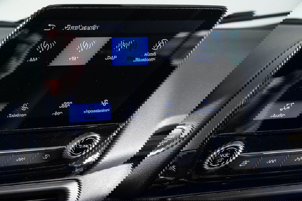 Ford EcoSport usata a Perugia (17)