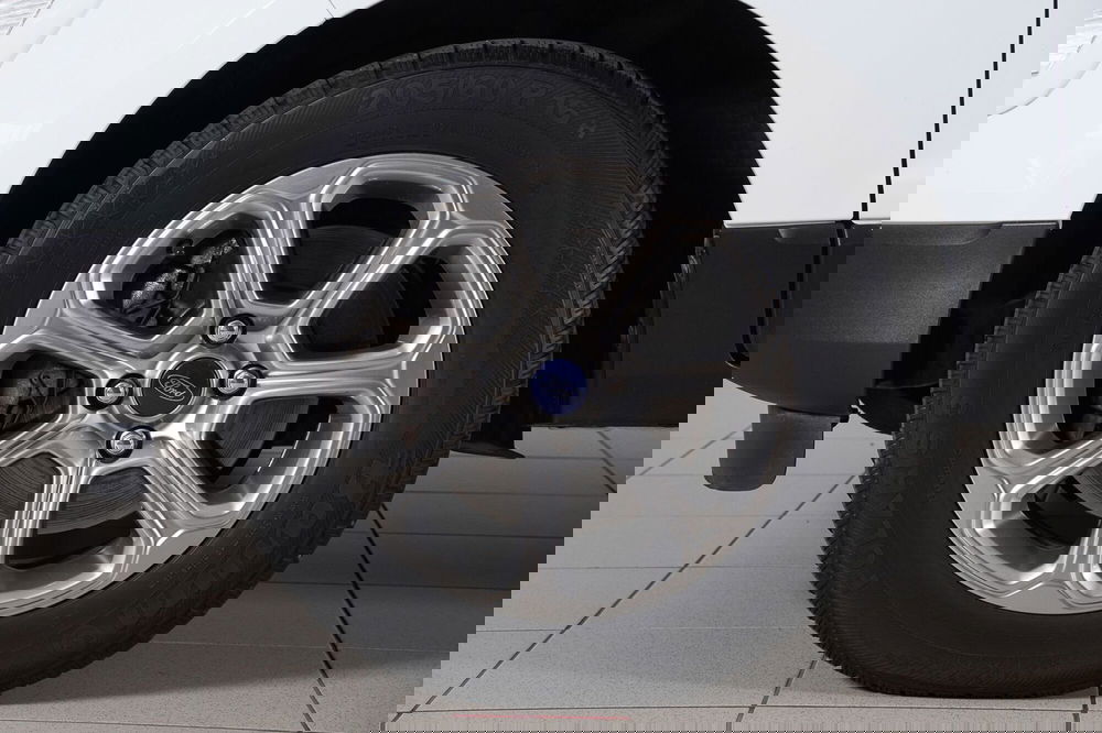 Ford EcoSport usata a Perugia (6)
