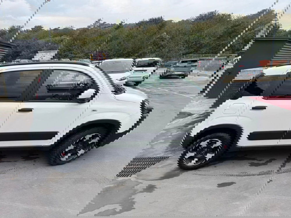 Fiat Panda Cross usata a Avellino (15)