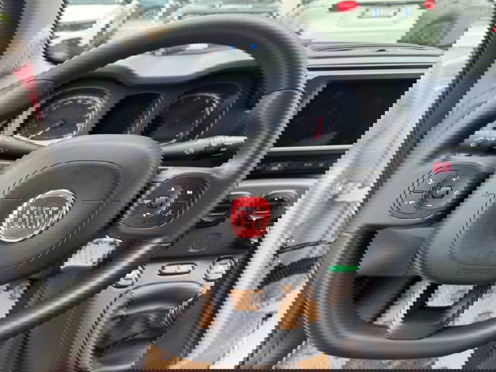 Fiat Panda Cross usata a Avellino (17)