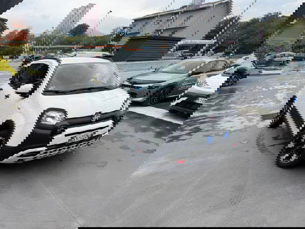 Fiat Panda Cross usata a Avellino (2)