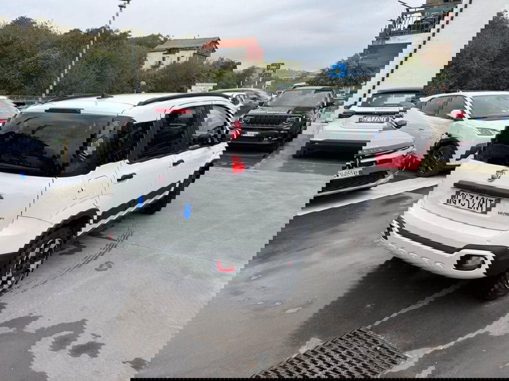 Fiat Panda Cross usata a Avellino (4)