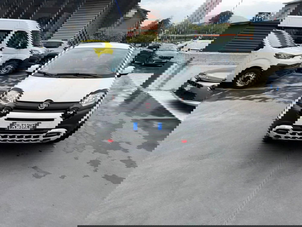 Fiat Panda Cross usata a Avellino (9)