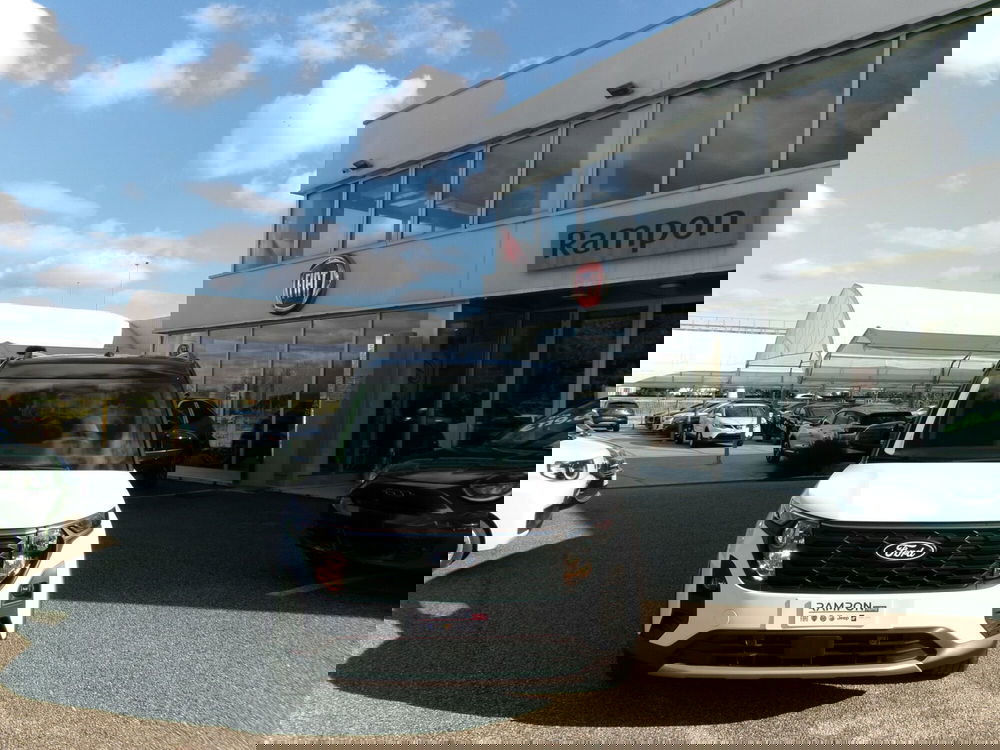 Ford Tourneo Courier usata a Venezia (7)