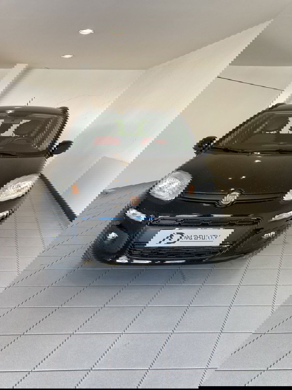 Fiat Panda usata a Barletta-Andria-Trani