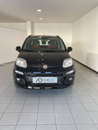 Fiat Panda 1.2 Trussardi del 2020 usata a Barletta