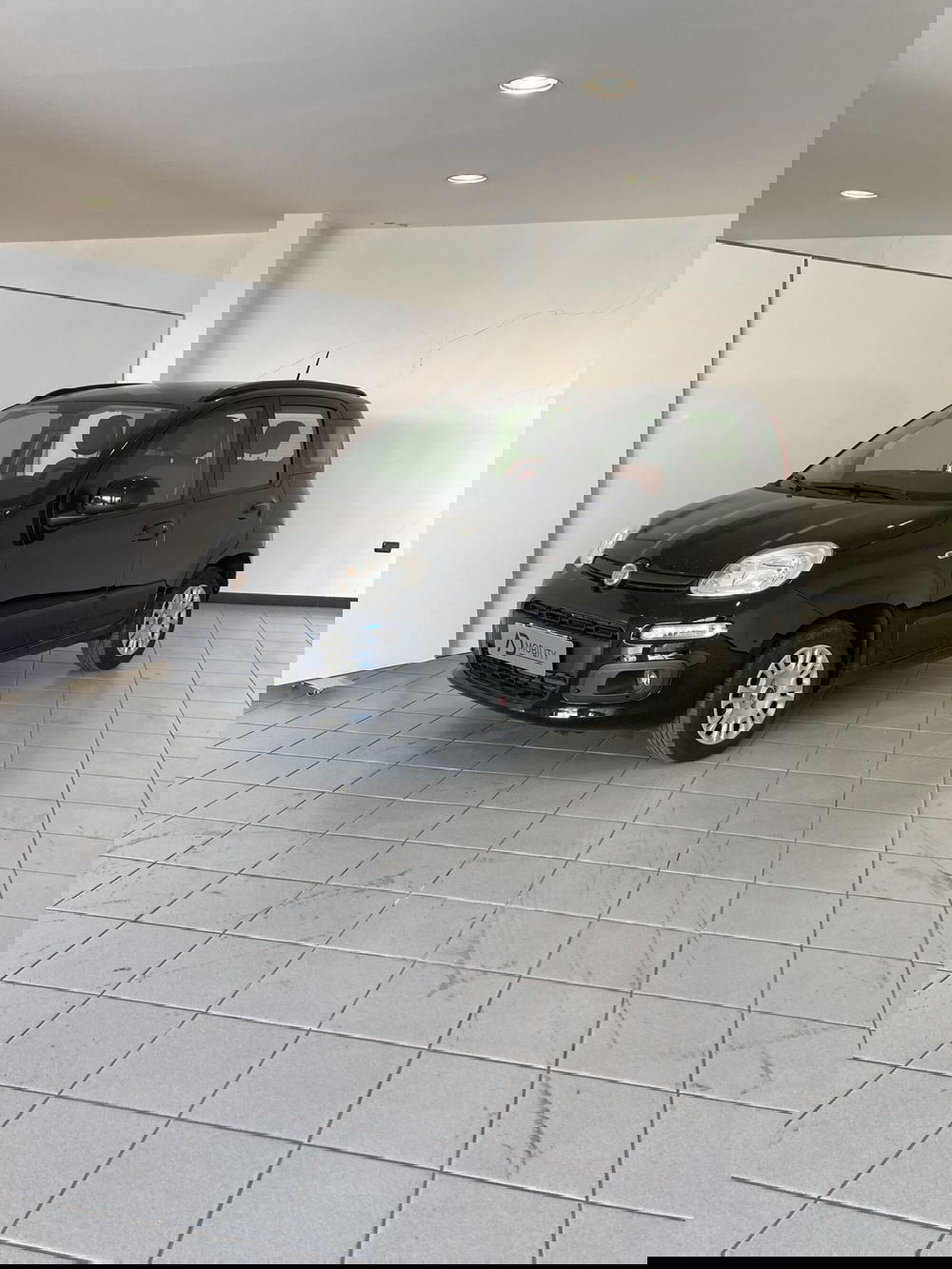 Fiat Panda usata a Barletta-Andria-Trani (2)