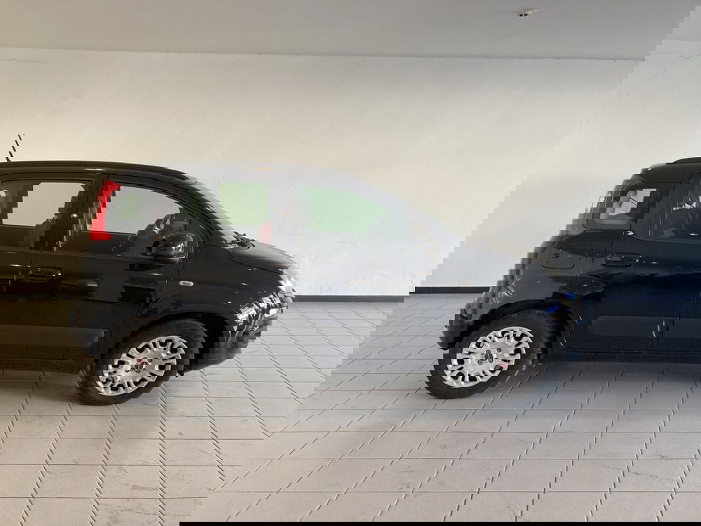 Fiat Panda usata a Barletta-Andria-Trani (3)