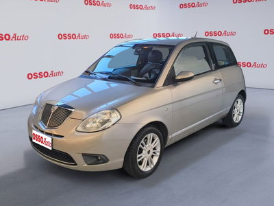 Lancia Ypsilon 1.2 New Oro del 2009 usata a Udine